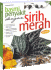 Basmi Penyakit dengan Sirih Merah